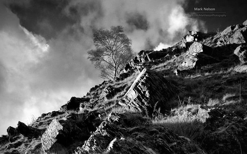 Uphill backwards, black and white, abstract, mountain, tree, graphy nature, hill, scene, landscape, HD wallpaper