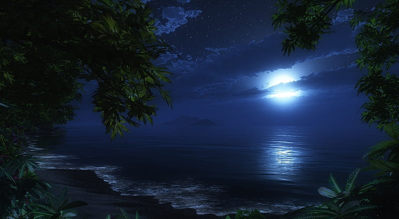 Tropic Night Ultra, Artistic, 3D, Night, Moonlight, tropic, HD wallpaper