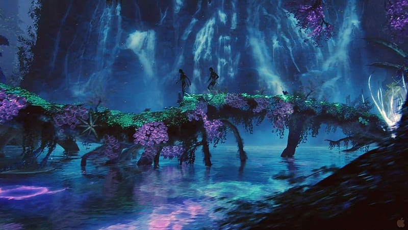 Avatar 2 The Way Of Water, HD wallpaper