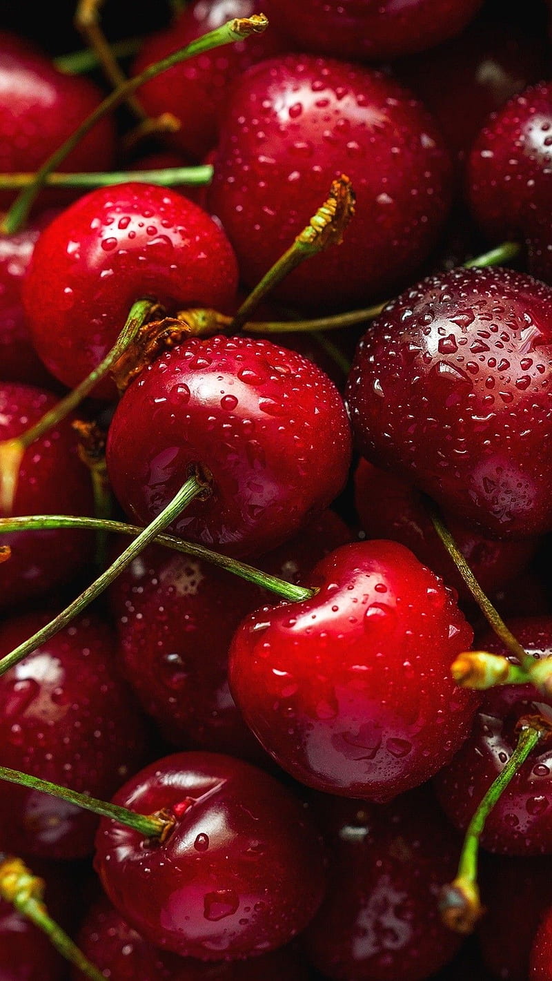 FRESH RED CHERRY , red cherry, fruit, HD phone wallpaper