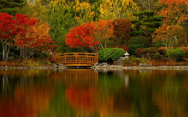 Japanese garden, Trees, Pond, Bridge, Autumn, HD wallpaper