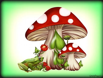 HD wallpaper selective photography of Kermit the Frog plush toy beside red  mushroom at daytime  Wallpaper Flare