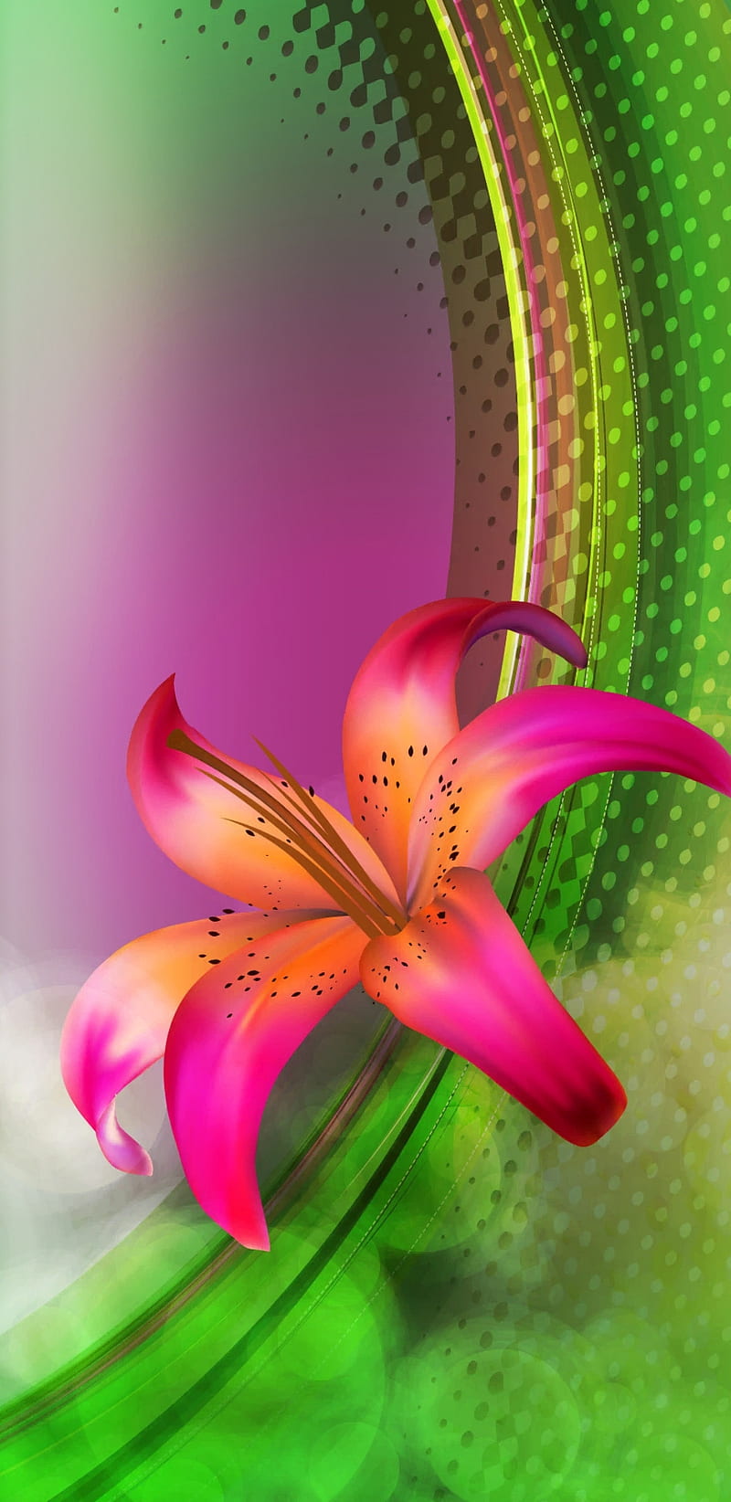 Beautiful Flower, floral, flowers, green, pink, pretty, purple, HD phone  wallpaper | Peakpx