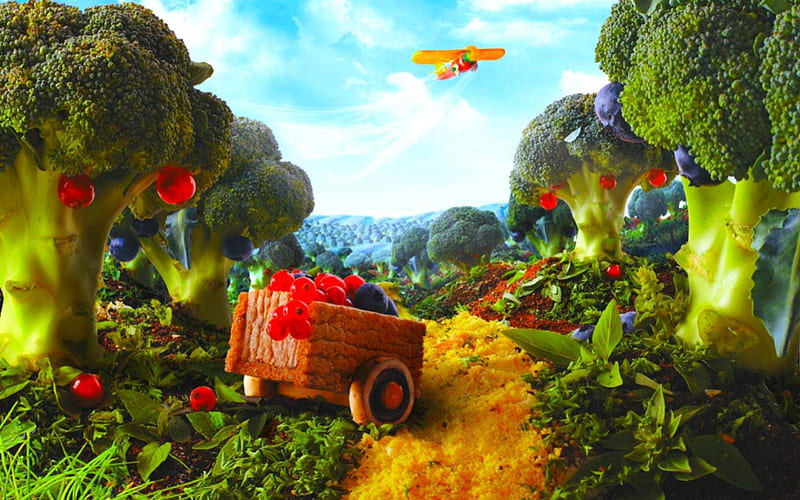 Vegetable garden, broccoli, leafy, artistic, food, fruits, cart, vegetables, HD wallpaper