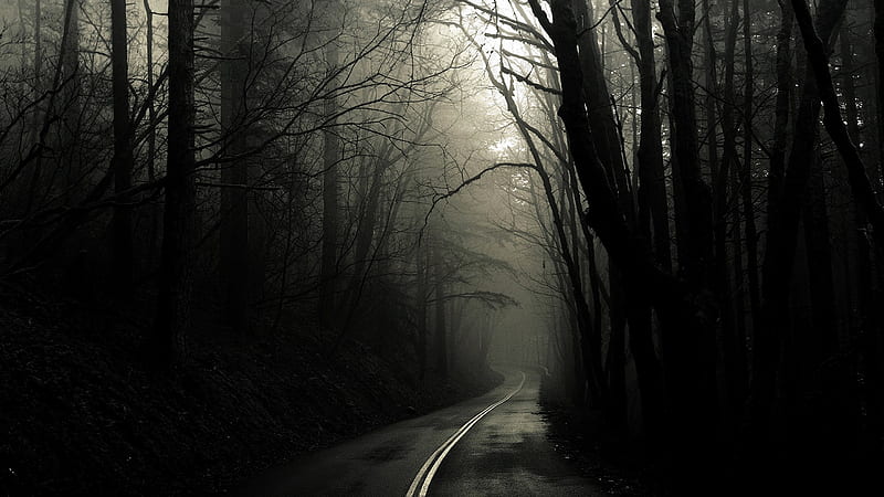 dark road, black and white, forest, road, mist, HD wallpaper