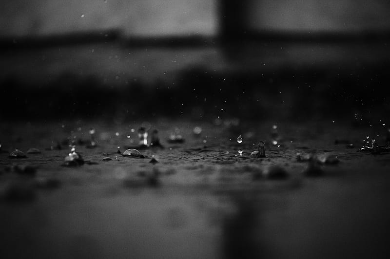 Rain Drops, black and white, drops, rain, raindrops, HD wallpaper