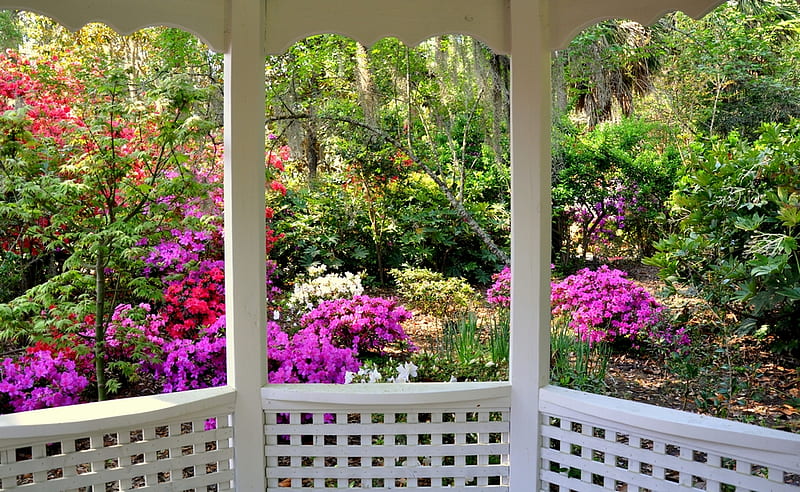 view from the veranda, veranda, house, flowers, garden, nature, HD wallpaper