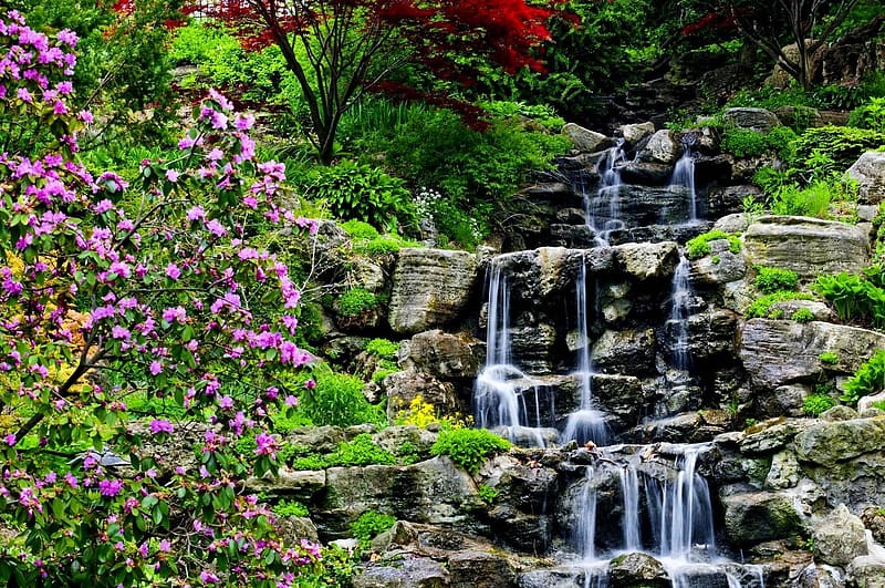 Nature, Water, Waterfalls, Flower, Waterfall, Vegetation, , Garden, HD wallpaper