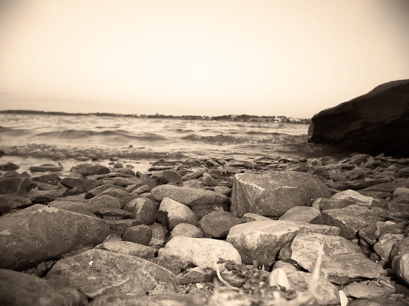 Rocky Shore, beach, rocks, water, grass, nature, HD wallpaper