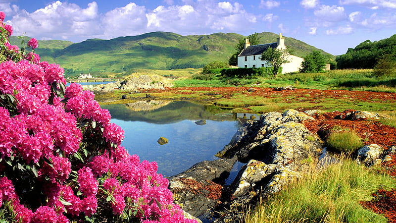 Scottish Highlands in Spring, Rhododendron, cottage, lake, rocks, clouds, sky, HD wallpaper