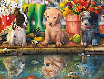 Lulu, cute, cachorro, animals, puppy, dog, HD wallpaper