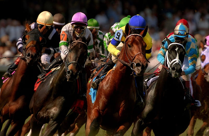 Kentucky Derby, racing, Horse, winning, excitement, HD wallpaper
