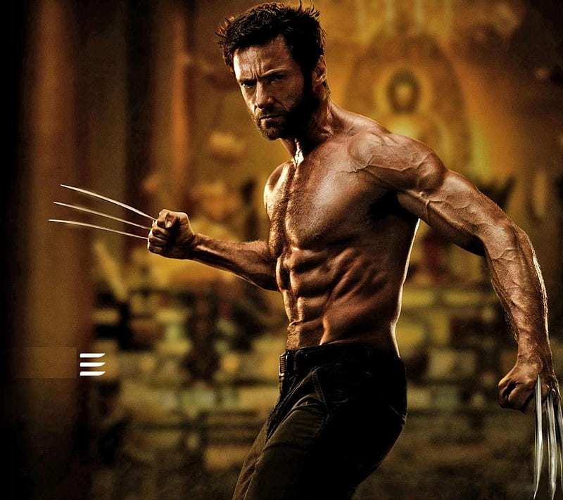 The Wolverine, actor, hollywood, hugh jackman, men, superhero, xmen, HD  wallpaper | Peakpx