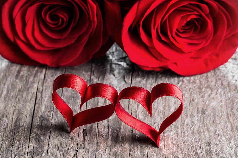 Valentine's day, Couple, Love, Roses, corazones, HD wallpaper | Peakpx