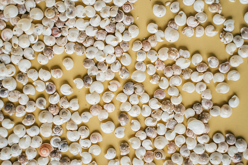 White and Brown Stones on Yellow Surface, HD wallpaper