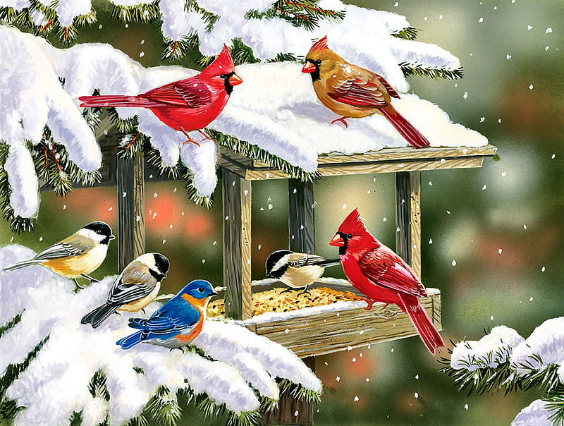 Winter Snacks - Birds FC, art, bonito, illustration, artwork, bluebird, animal, winter, cardinals, chickadees, bird, snow, avian, painting, wide screen, wildlife, nature, HD wallpaper