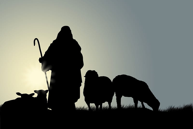 The Lord is my shepherd, christ, sheep, jesus, lord, shepherd, HD wallpaper