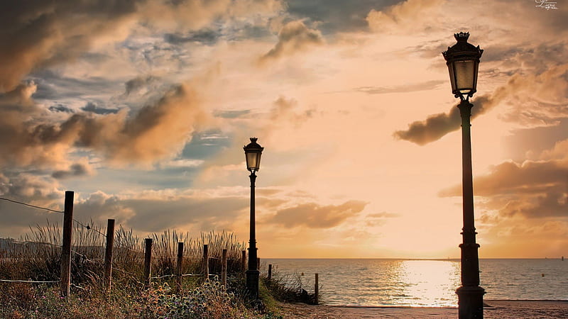 lamp posts on a beautiful beach at sunset, fence, beach, lamps, flowers, sunset, sea, HD wallpaper