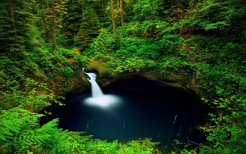 forest, lake, waterfall, Punch Bowl Falls, Columbia, Oregon, USA, HD wallpaper