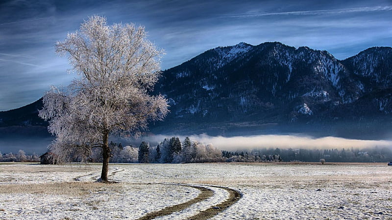 farm at the foot of bavarian mountains in winter, farm, tree, mountains, tracks, fog, winter, HD wallpaper