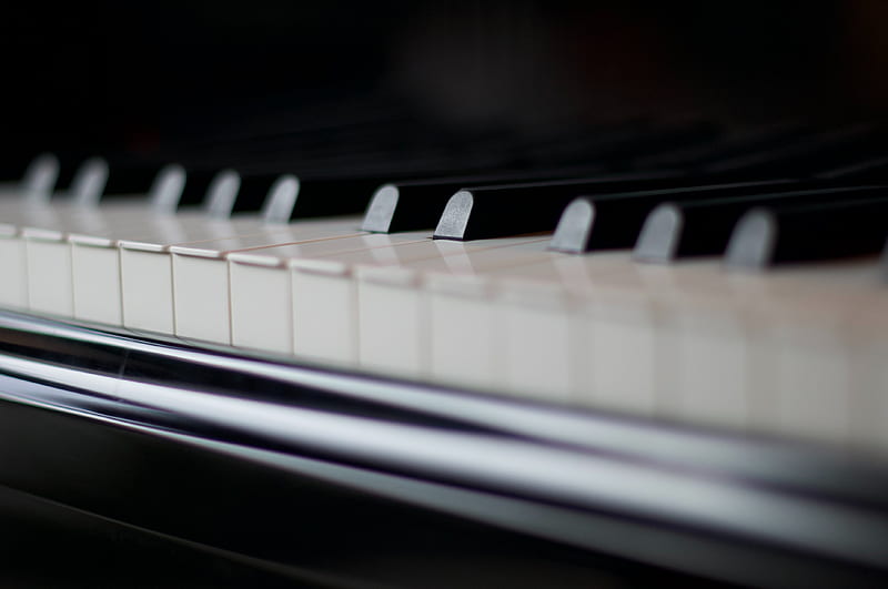 piano, keys, musical instrument, music, black and white, HD wallpaper