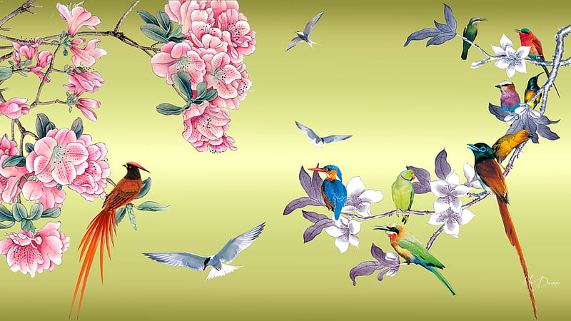 Amazing Birds, Oriental, blossoms, flowers, birds, summer, spring, trees, tropical, Firefox theme, HD wallpaper