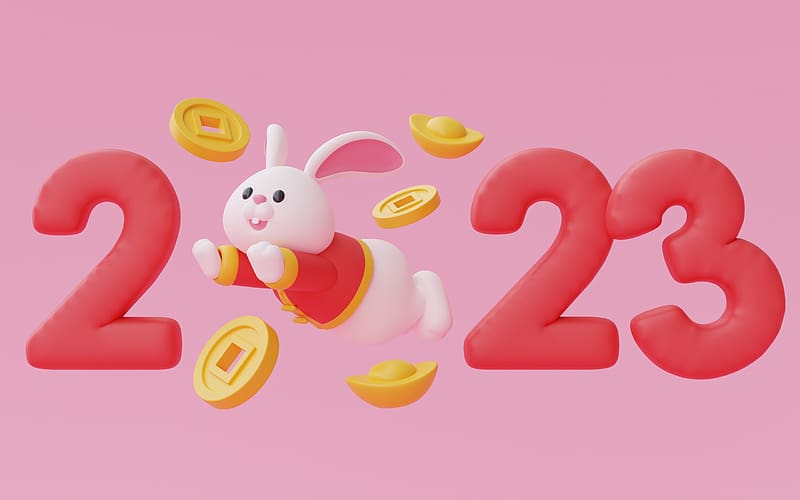Year of the Rabbit, bunny, coin, pink, red, chinese zodiac, 2023, card, new year, HD wallpaper