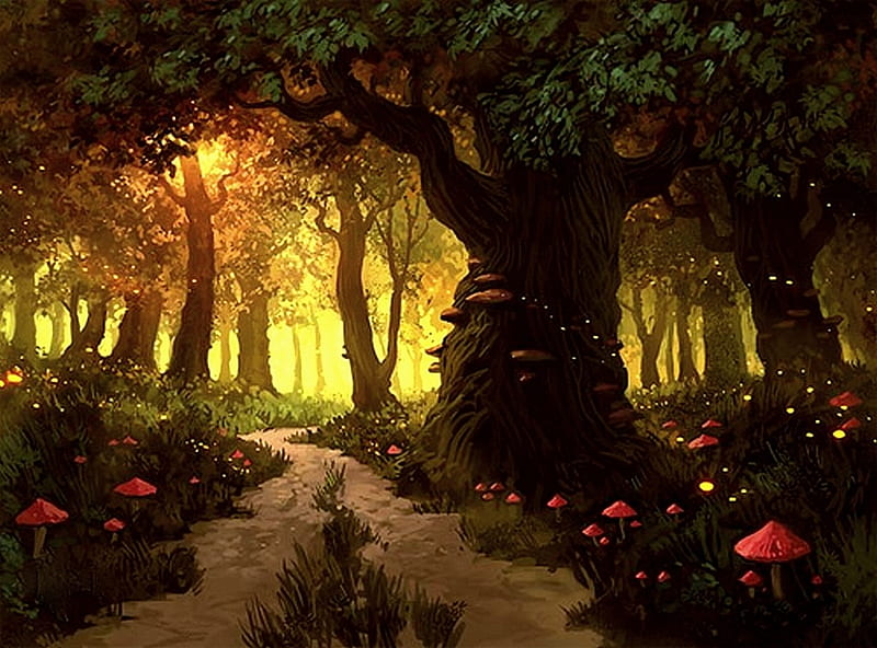 ROAD TO WONDERLAND, forest, moonlight, path, mushrooms, night, HD wallpaper
