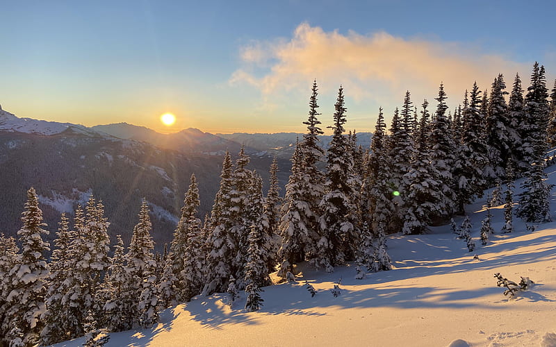 Golden hour on the Peak of Whistler mountain, British Columbia, sun, snow, trees, canada, sky, HD wallpaper