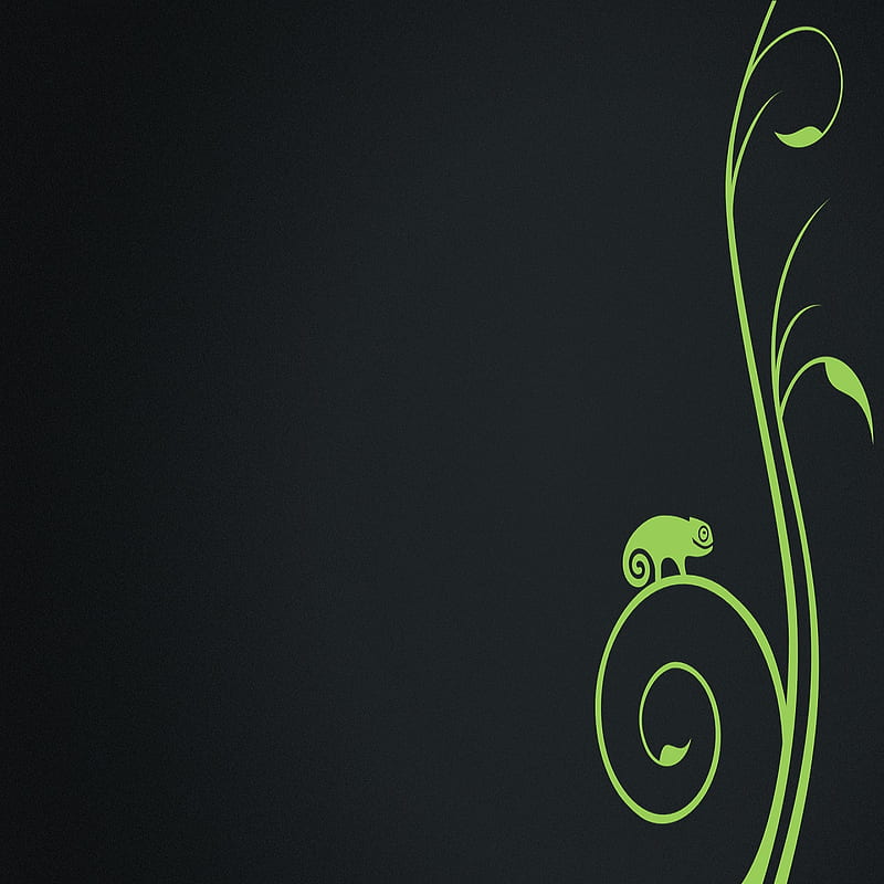 Dark Lizard, black, green, iguana, camelion, chameleon, HD phone wallpaper
