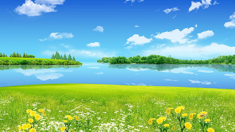 River Between Green Grass Field With Landscape View Of Green Trees Forest Nature, HD wallpaper