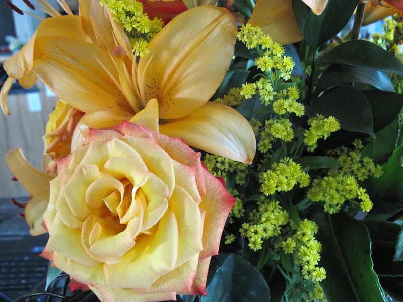 A day on the Acres 25, green, flowers, lily, yellow, roses, pink, HD wallpaper
