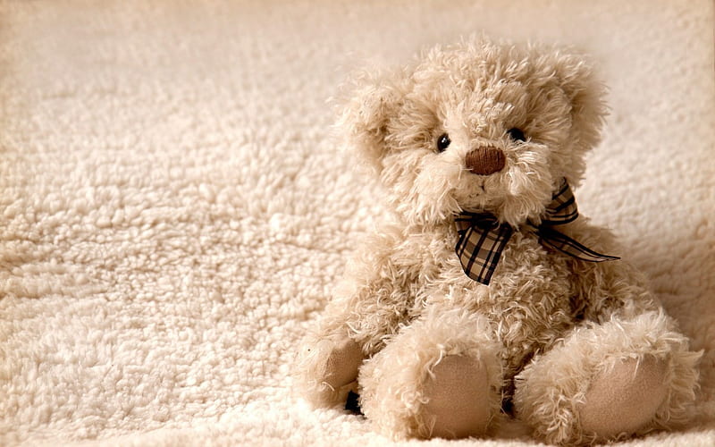cuddle me, cute, fluffy, teddy, ribbon, toy, cuddle, teddy bear, cuddly, HD wallpaper