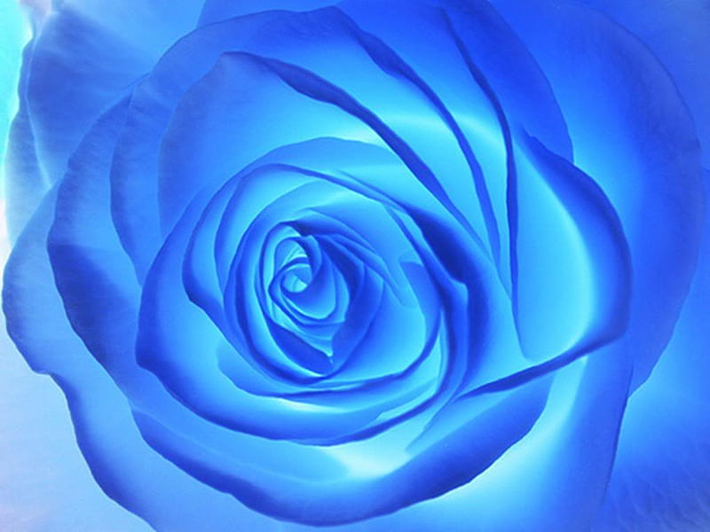 Blue Rose, thorns, fantasy, rose, love, petals, glows, stem, HD wallpaper