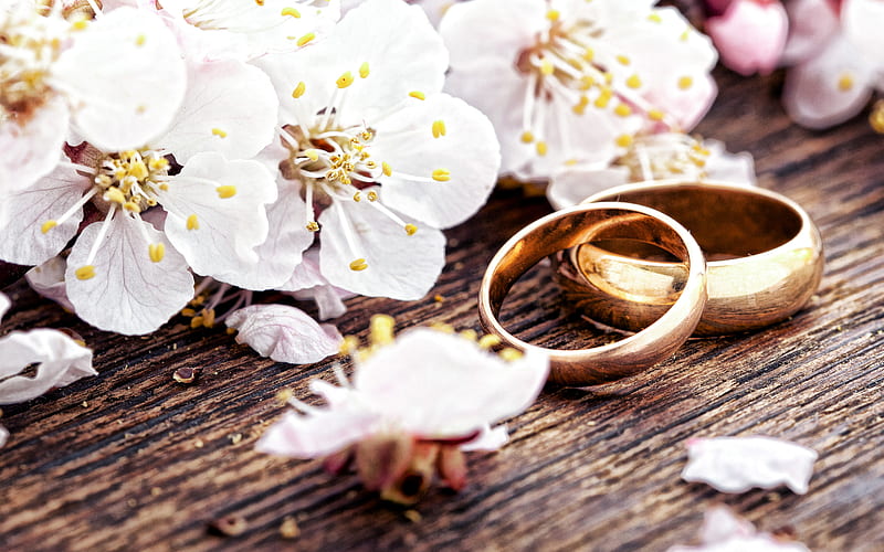 wedding gold rings, spring, apple blossoms, wedding concepts, white flowers, rings, HD wallpaper