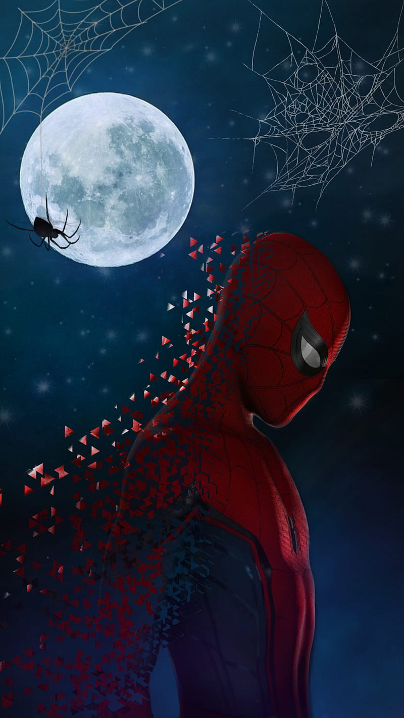 HD spiderman by night wallpapers | Peakpx