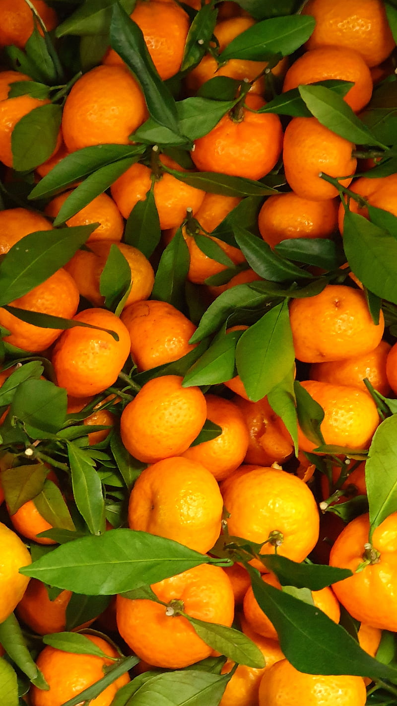 mandarins, Christmas, food, fruits, green, holiday, kor4_lives, mandarin, nature, oranges, HD phone wallpaper