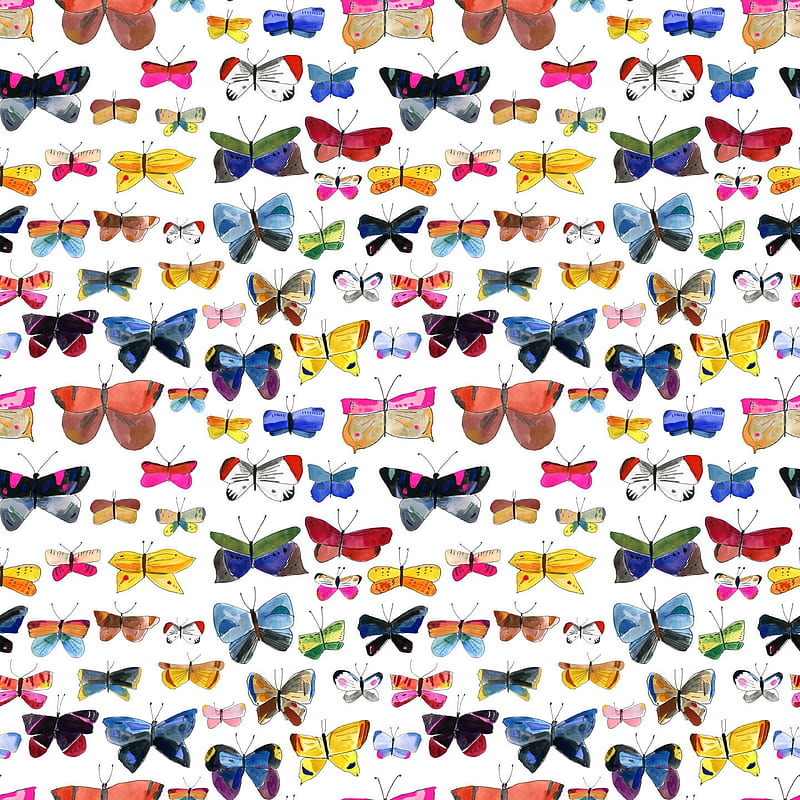 Butterfly – ELIZABETH GRAEBER, Small Butterflies, HD phone wallpaper