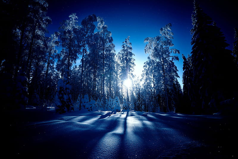 Silvery bridge in Winter, Central Finland, sunlight, forest, snow, trees, sky, scandinavia, HD wallpaper
