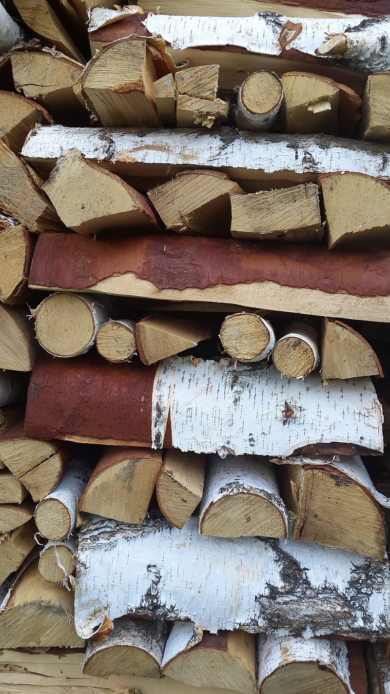 birch, nature, firewood, HD phone wallpaper