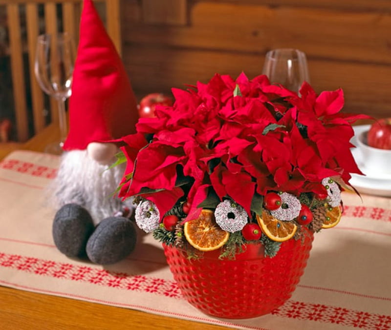 Decoración navideña, mesa, rojo, macetas, Navidad, Poinsettias, decoración,  gafas, Fondo de pantalla HD | Peakpx