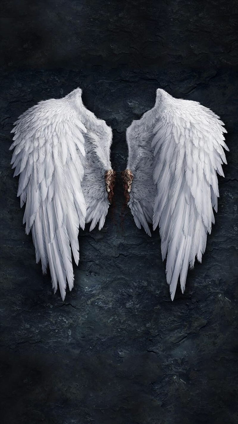 Angel wings, broken, pair, white, white wings, HD phone wallpaper