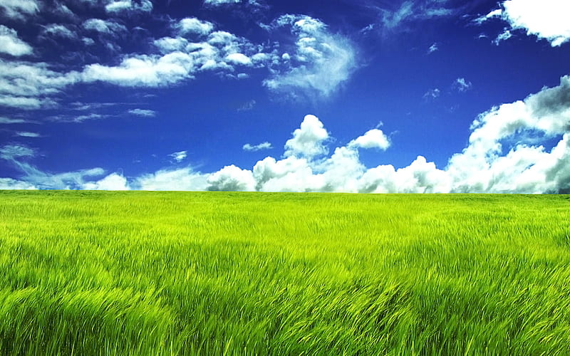 Energy Bliss, green, clouds, sky, field, blue, HD wallpaper