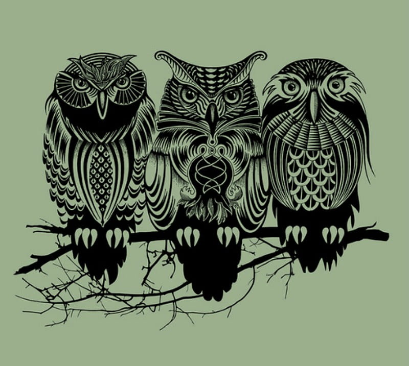Celtic Owls, celtic, brooding, owls, drawing, HD wallpaper