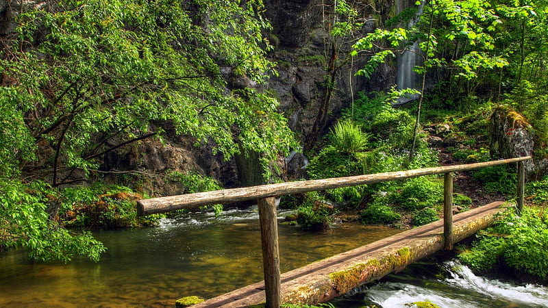 log bridge over mountain falls, mountain, stream, bridge, trees, falls, HD wallpaper