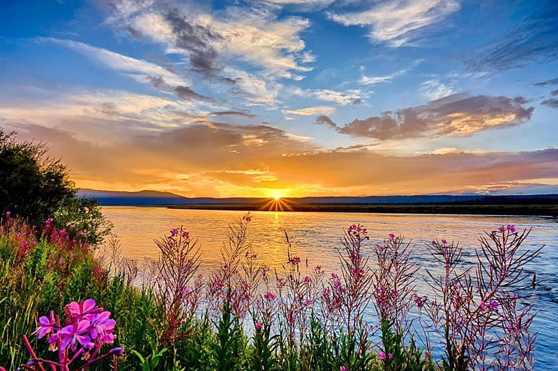 Snake River At Sunset, yellow, bonito, sunset, Idaho, sky, clouds, water, green, flowers, river, pink, blue, HD wallpaper