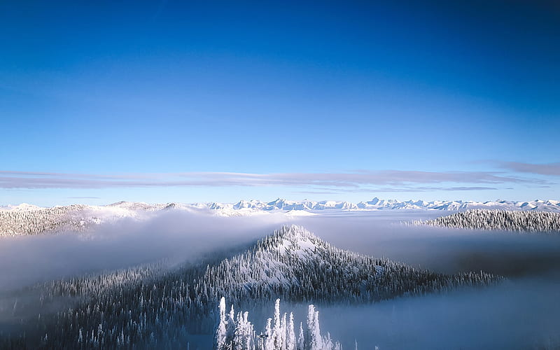 Winter snow mountain forest blue sky horizon, HD wallpaper