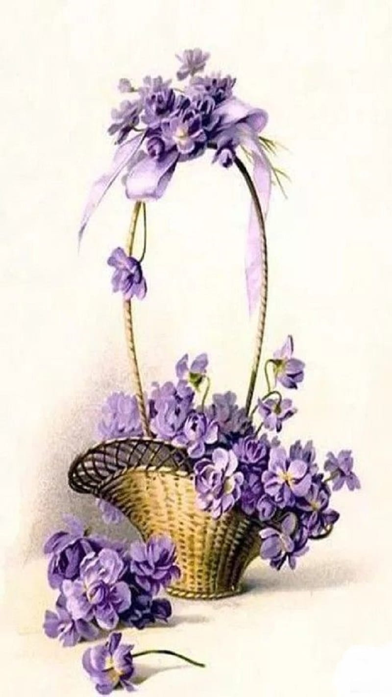 Violetas, ramo, flores, Fondo de pantalla de teléfono HD | Peakpx