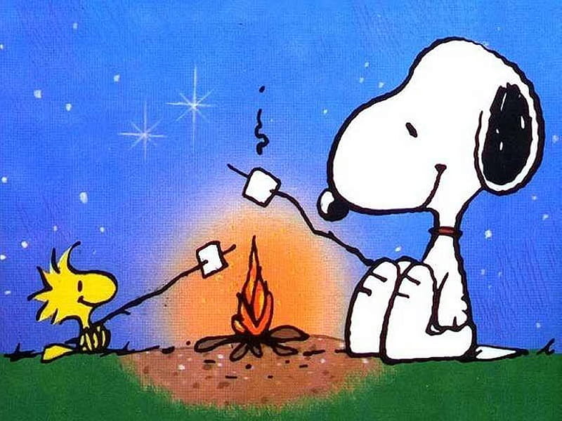 Snoopy and Woodstock camping, best friends, roasting marshmellows, togetherness, camping, HD wallpaper