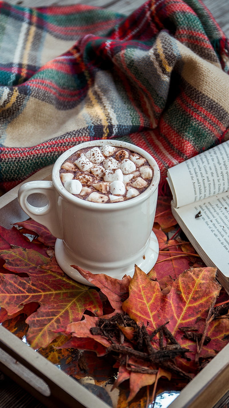 Cocoa Marshmallow , autumn, book, plaid, coffee, food, leaves, decoration, HD phone wallpaper